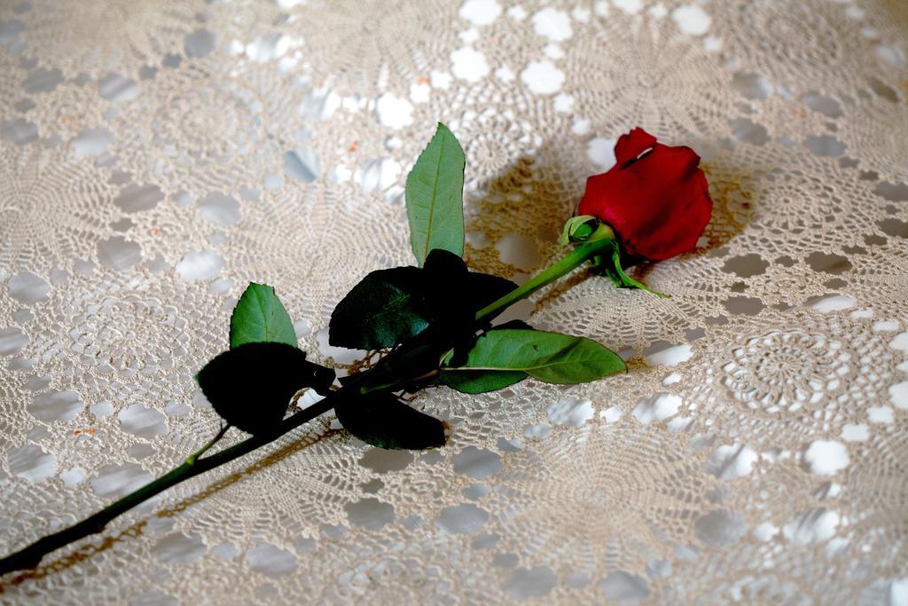 Double Room,449490039:JPEG